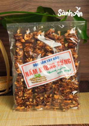 Nấm hương rừng